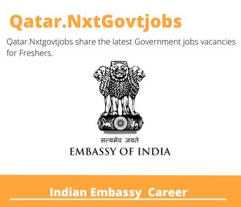 Indian Embassy Careers 2023 Qatar Jobs @Nxtgovtjobs
