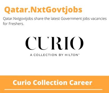 Curio Collection Careers 2023 Qatar Jobs @Nxtgovtjobs
