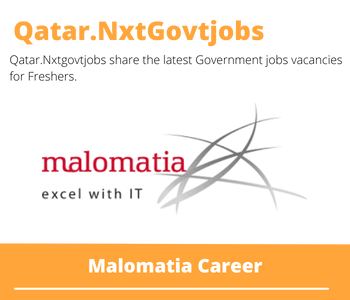 Malomatia Doha IT Security Coordinato Dream Job | Deadline May 5, 2023