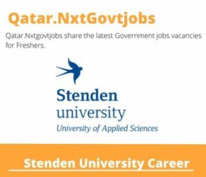 Stenden University Career