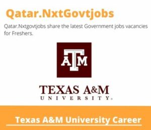 Texas A&M University Career